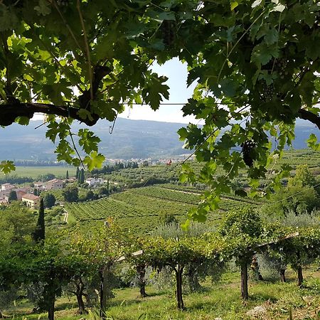 Agriturismo Valentina Cubi ฟูมาเน ภายนอก รูปภาพ