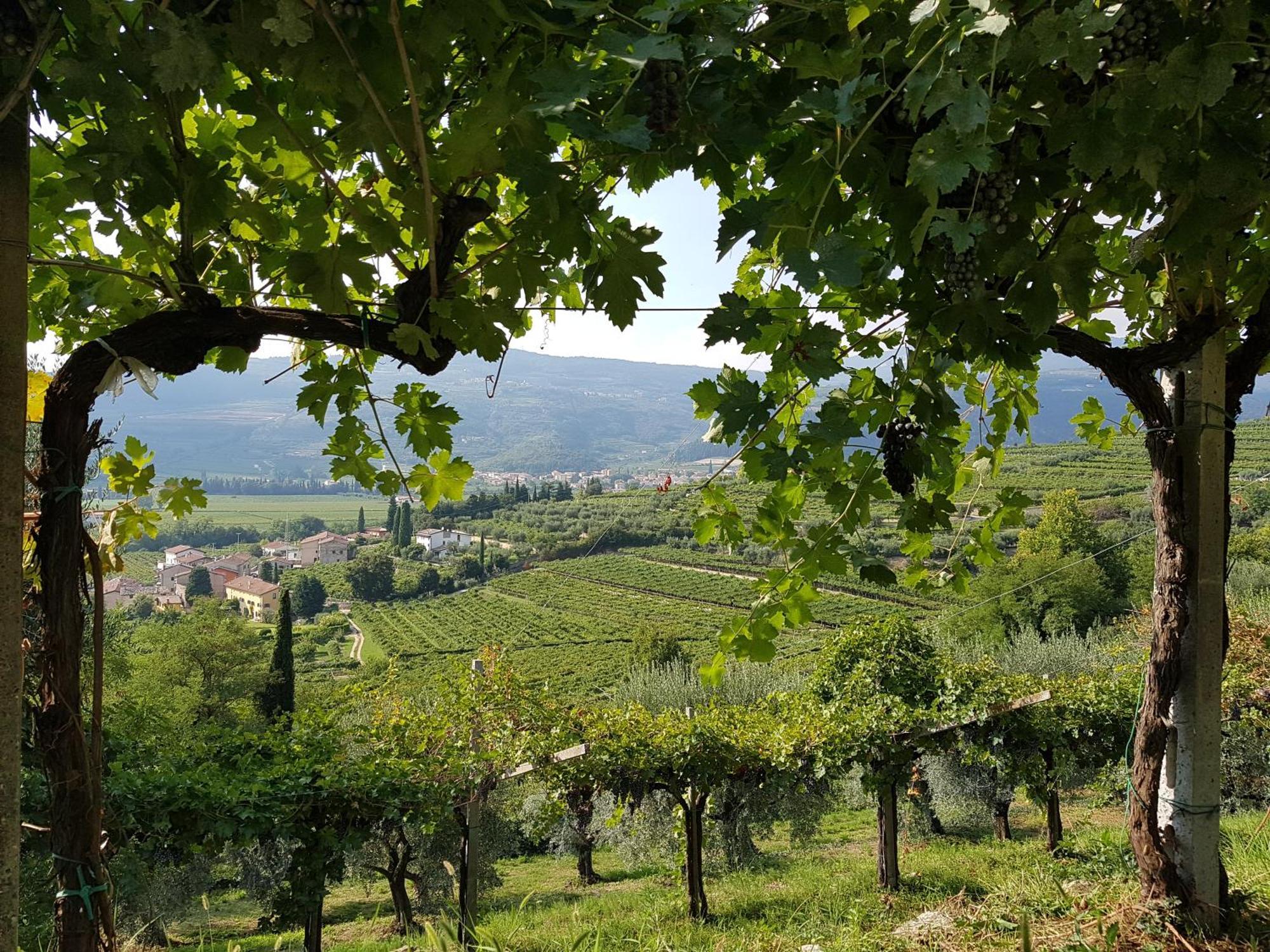 Agriturismo Valentina Cubi ฟูมาเน ภายนอก รูปภาพ