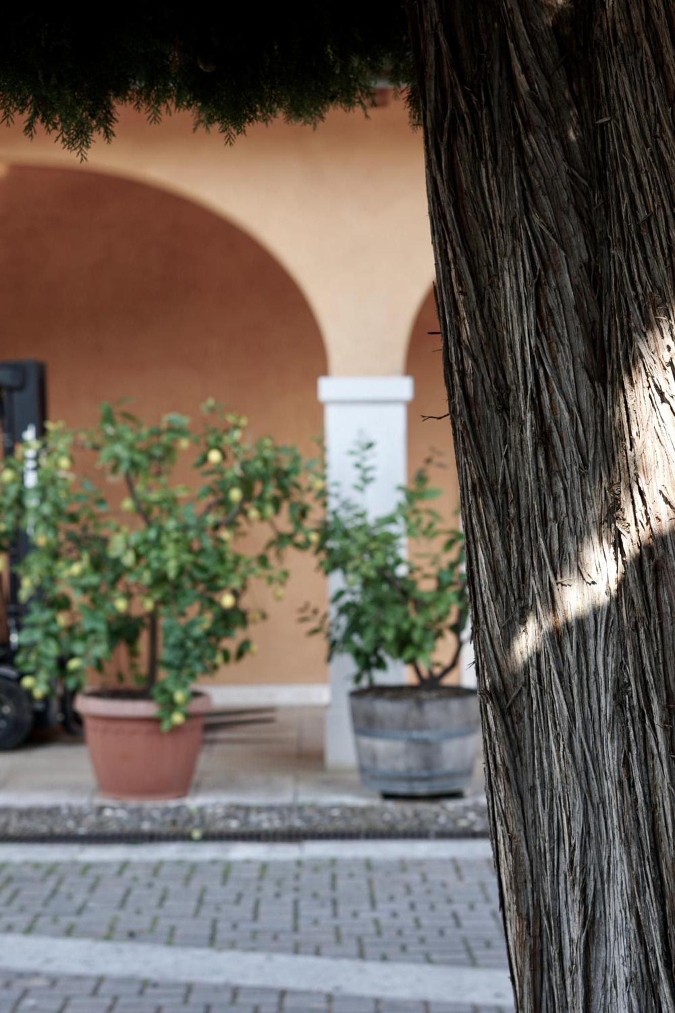 Agriturismo Valentina Cubi ฟูมาเน ภายนอก รูปภาพ
