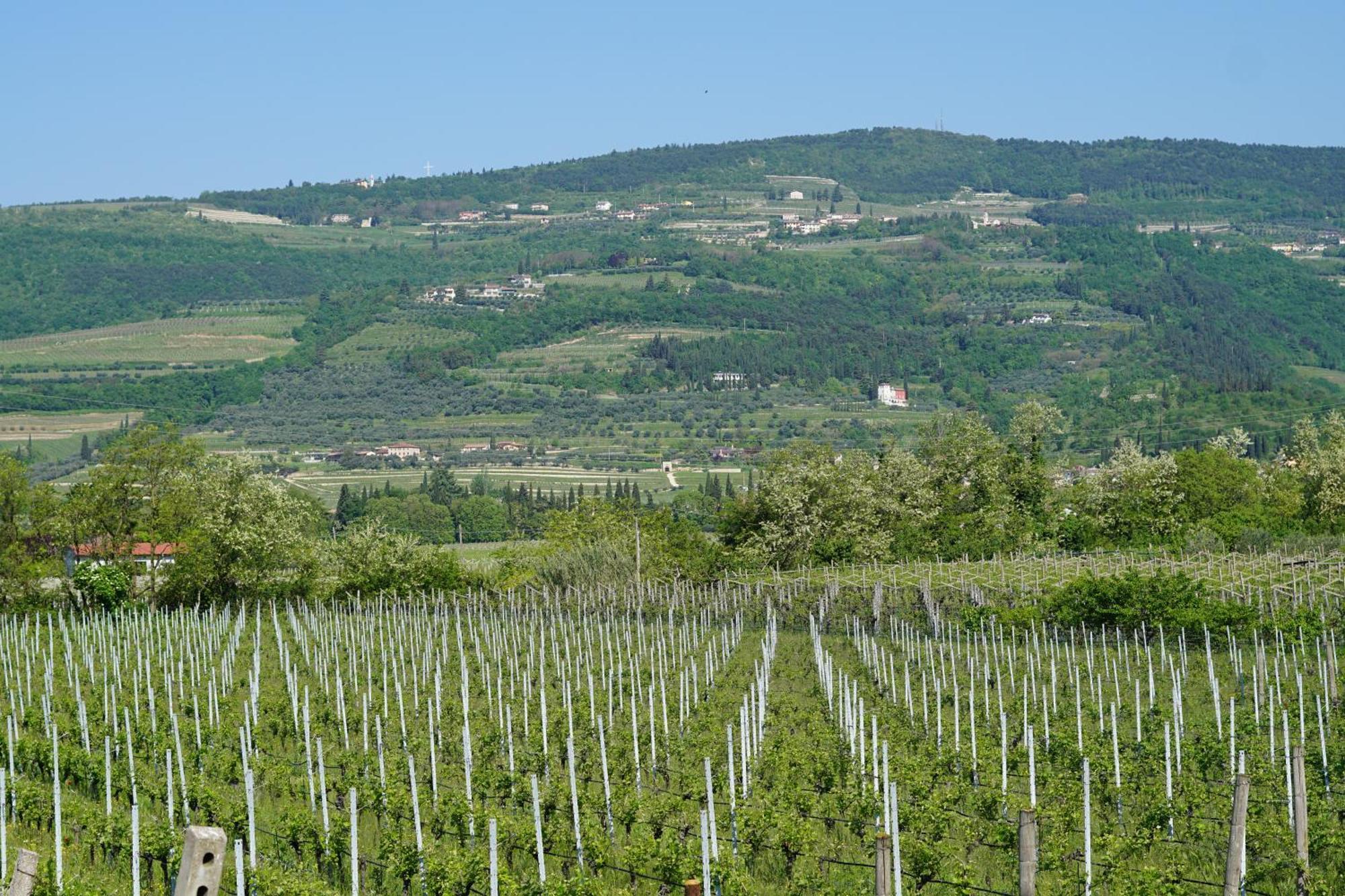 Agriturismo Valentina Cubi ฟูมาเน ภายนอก รูปภาพ